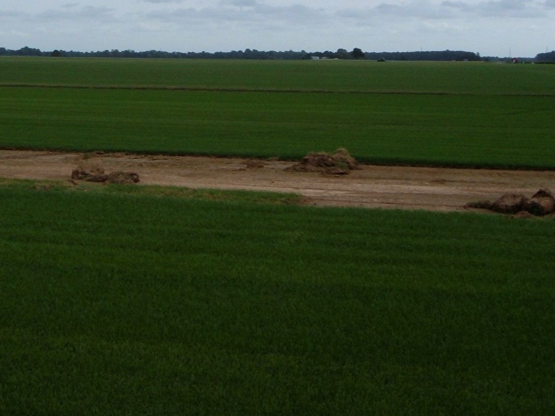 Een vlak graszodenveld met een kale strook waar de zoden al gestoken zijn.