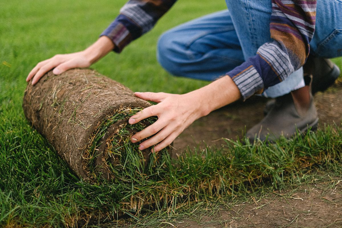 Twee handen rollen een graszode uit op een grasveld.